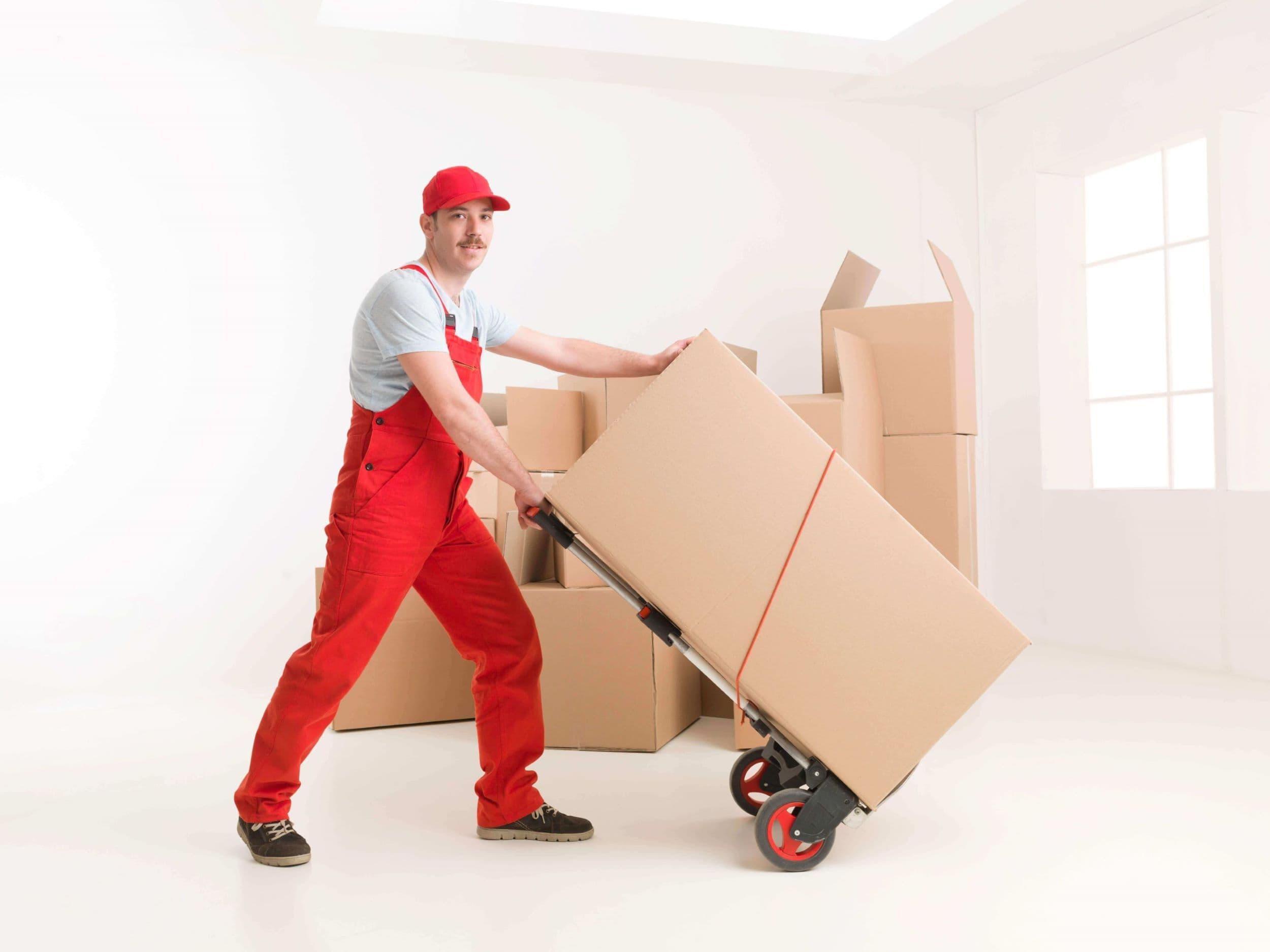 Gold High Star Movers team at work